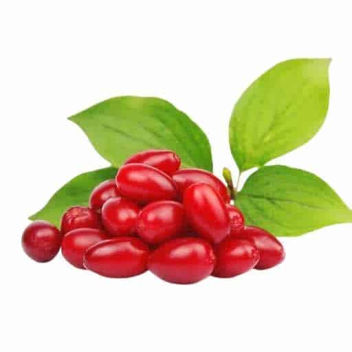خواص زغالاخته برای تنظیم فشار خون